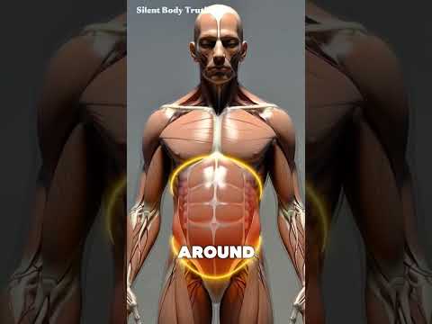 Thumbnail for Shrink Your Belly Fast — 5 Daily Habits That Actually Work! by Silent Body Truth