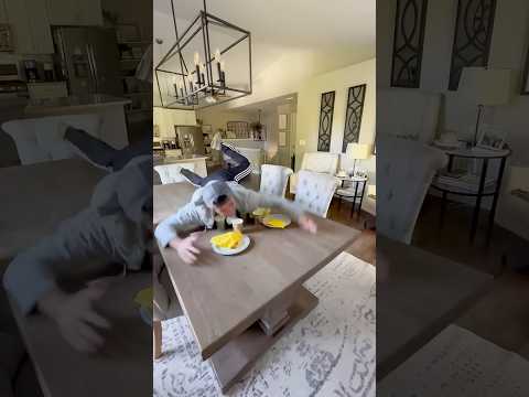 Thumbnail for If Cleaning Was a Timed Sport. Part 2 by Daniel LaBelle