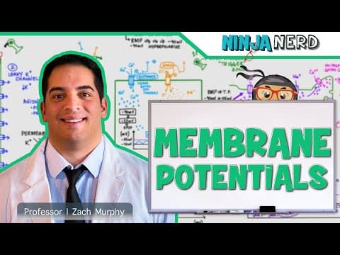 Thumbnail for Neurology | Resting Membrane, Graded, Action Potentials by Ninja Nerd