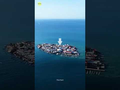 Thumbnail for Most Crowded Island 🏝️ by The Fact