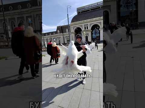 Thumbnail for Все это похоже на какую-то разводку… by BORODA TV