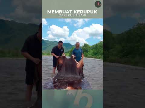 Thumbnail for kerupuk dari kulit sapi by Jelajah bumi
