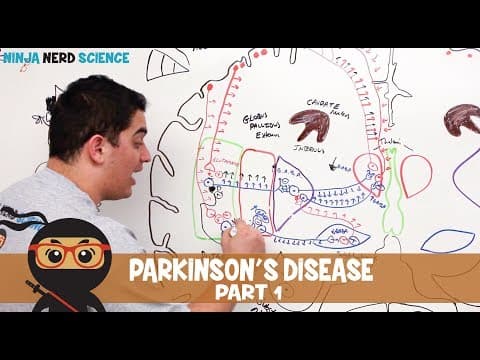 Thumbnail for Parkinson's Disease | Clinical Presentation | Part 1 by Ninja Nerd