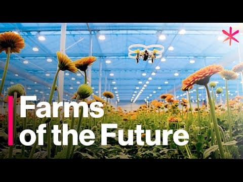 Thumbnail for The Futuristic Farms That Will Feed the World | Freethink | Future of Food by Freethink