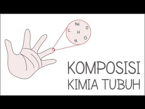 Thumbnail for Komposisi Kimia Tubuh | Biomolekul #1 by Rian HS