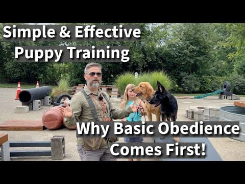 Thumbnail for Simple & Effective Puppy Training | Why We Focus On Basic Obedience First! by Stonnie Dennis