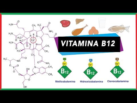 Thumbnail for Formas químicas de vitamina B12 y su participación como cofactor by Metabolismo