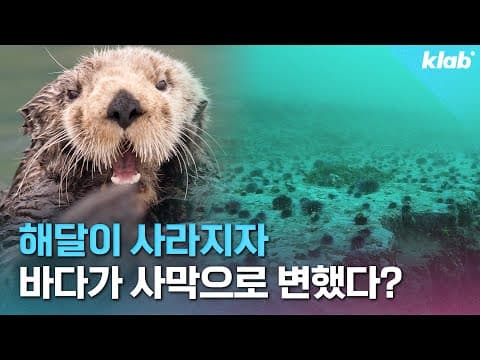 Thumbnail for 🦦1,000 → 100,000마리… 캘리포니아가 이 악물고 해달 복원시킨 이유｜크랩 by 크랩 KLAB