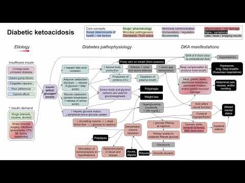 Thumbnail for Diabetic ketoacidosis (mechanism of disease) by MedLecturesMadeEasy