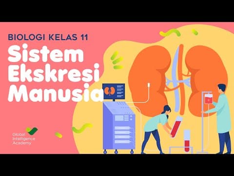Thumbnail for BIOLOGI Kelas 11 - Sistem Ekskresi Manusia | GIA Academy by GIA Academy