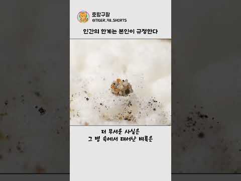 Thumbnail for 인간의 한계는 본인이 규정한다 by 호랑구팔