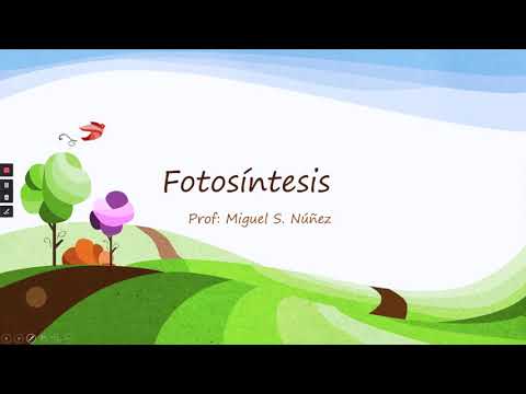 Thumbnail for Fotosítesis by Biología, ecología y algo más.
