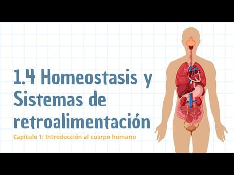 Thumbnail for Homeostasis y Sistemas de retroalimentación by Dra. Isabel Soto