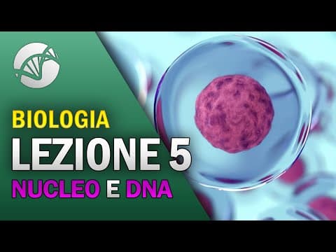 Thumbnail for BIOLOGIA - Lezione 5 - Il Nucleo e il DNA by La Biologia per tutti
