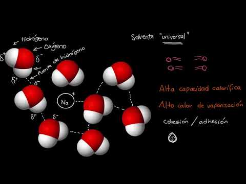 Thumbnail for Importancia del agua para la vida | Khan Academy en Español by KhanAcademyEspañol