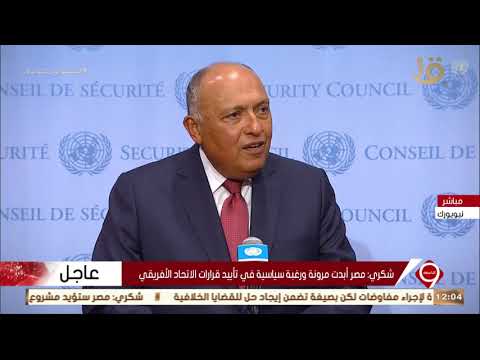 Thumbnail for نشرة التاسعة| مؤتمر صحفي لوزير الخارجية سامح شكري عقب جلسة لمجلس الأمن حول سد النهضة by القناة الأولى المصرية