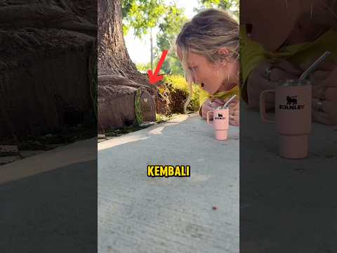 Thumbnail for Dia Merenovasi Rumah Peri (Part 2)❗🧚🏼‍♀️✨ #shorts by By Alan S