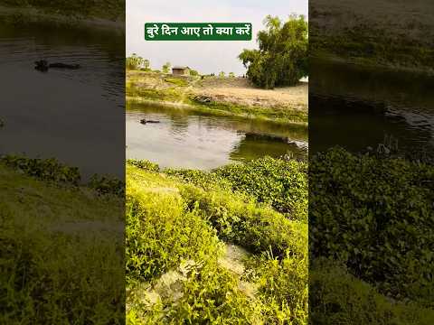 Thumbnail for 🔴🌼बुरे समय में क्या करें गौतम बुद्ध जीके प्रवचन #trending #gautambudhastory #motivation 💯👍👌🙏🤔 by Gyanganga_123