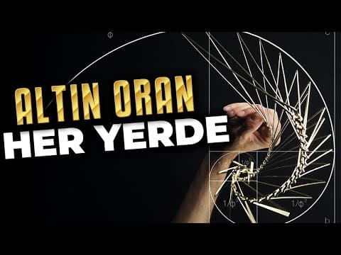 Thumbnail for Altın Oran: Kutsal Bir Mesaj mı, Koca Bir Yalan mı? by Evrim Ağacı