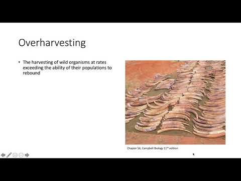 Thumbnail for Threats to Biodiversity by Baylor Tutoring Center