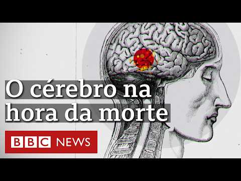 Thumbnail for As descobertas sobre o que se passa no cérebro enquanto morremos by BBC News Brasil