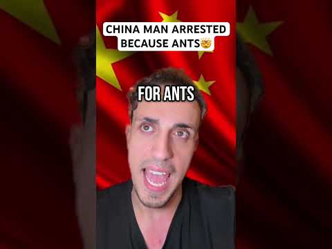 Thumbnail for China Man Arrested Because ANTS 🤯 by Omar Agamy