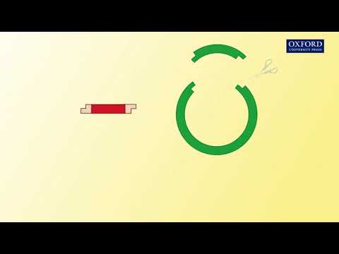 Thumbnail for Animation 27.1 Basic principle of recombinant DNA technology by Oxford Mastering Biology 牛津基礎生物學