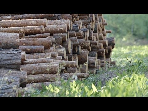 Thumbnail for Metsät 5. Logistiikka by Kiertotalous / Circular economy