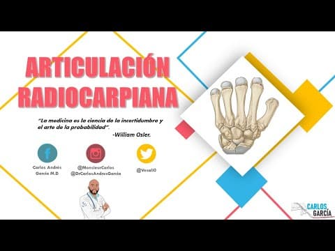 Thumbnail for Anatomía - Articulación Radiocarpiana (Superficies articulares, Ligamentos) by Dr. Carlos Andrés García