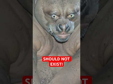 Thumbnail for 5 Animals That Shouldn't Exist...But Do by Intellectra
