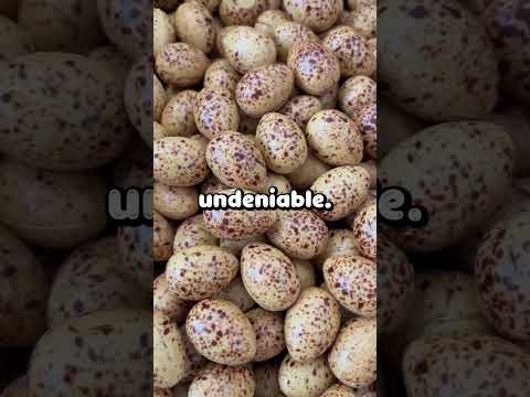 Thumbnail for I wasn’t even discharged... by RedditTalks