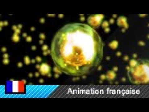 Thumbnail for Fission nucléaire (Animation) by Thomas Schwenke FR