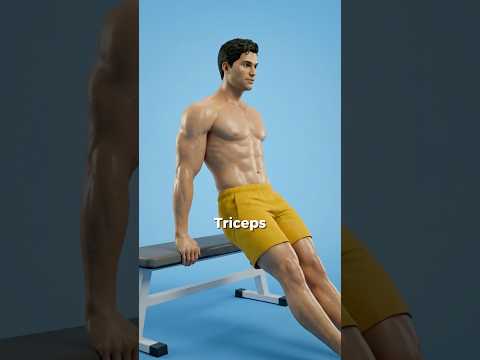 Thumbnail for What happens when you train your triceps every day? #facts #health #fitness #exercise #gym by Survival Supplements