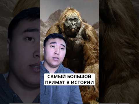 Thumbnail for Самая Большая Обезьяна в Истории: Гигантопитек by vonamlet
