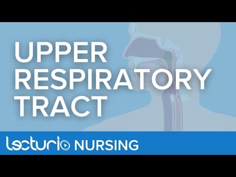 Thumbnail for Upper Respiratory Tract Anatomy | Anatomy & Physiology for Nurses by Lecturio Nursing