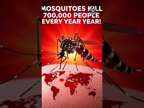 Thumbnail for what if all mosquitoes disappear 😱. #facts #amazingfacts #hindifacts #mosquito #shorts by Fact up