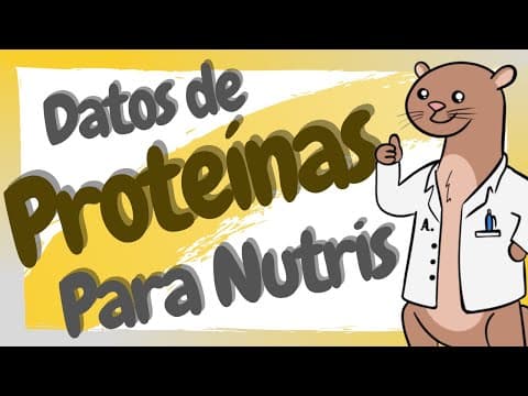 Thumbnail for Características de las Proteínas / Proteínas en Nutrición by Nutri-A: Nutrición Académica