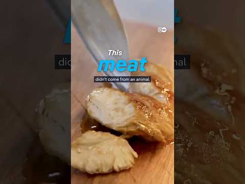Thumbnail for Is lab-grown meat the future of food? | DW Documentary by DW Documentary