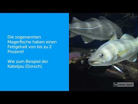 Thumbnail for Gastinformationen über Fischgerichte by Frank Kapfermann