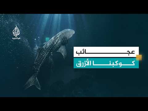 Thumbnail for الأرض.. طبيعة كوكبنا.. الماء | الحلقة الثالثة by Al Jazeera Documentary الجزيرة الوثائقية