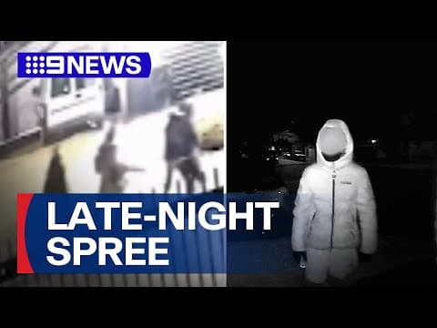 Thumbnail for Youth crime spree leaves locals rattled | 9 News Australia by 9 News Australia