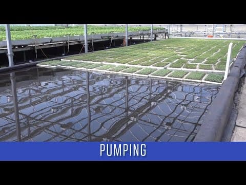 Thumbnail for How to design an energy efficient hydroponic system? by Energy Answers for the Beginning Farmer & Rancher