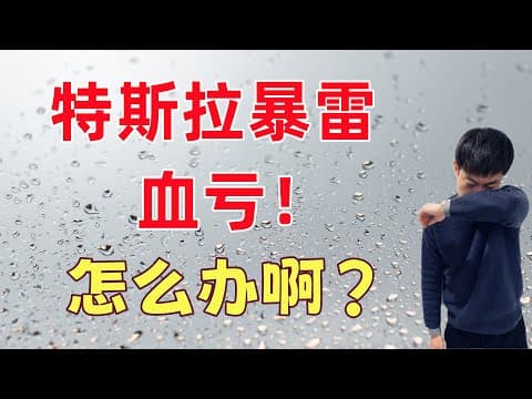 Thumbnail for 特斯拉暴雷，血亏！该怎么办？ by 老李玩钱