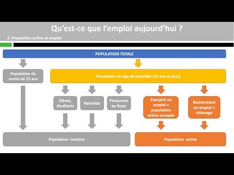 Thumbnail for Qu’est-ce que l’emploi aujourd’hui ? by Les SES en vidéos