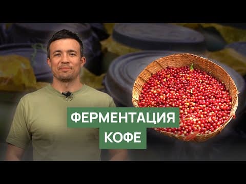 Thumbnail for Ферментация кофейного зерна | Аэробная, анаэробная, эспериментальная обработка by Russian Barista