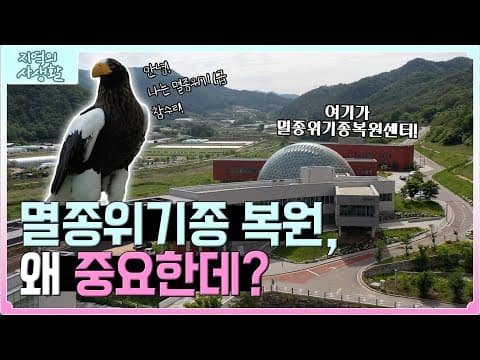 Thumbnail for [지역의 사생활] 우리가 살아가는데 가장 중요한 멸종위기종 복원 사업| KBS 230609 by KBS대구