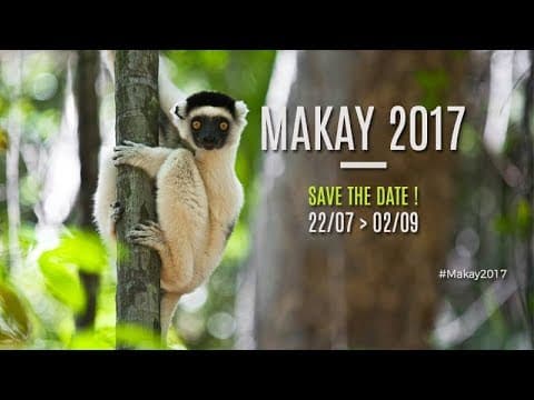 Thumbnail for Makay 2017 / Teaser de l'expédition by NatExplorers