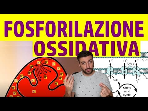 Thumbnail for ATP SINTASI e Fosforilazione Ossidativa by BioGossip