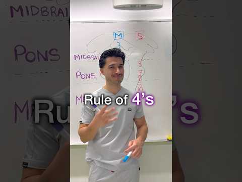 Thumbnail for Rule of 4️⃣s trick from my Neurology guide 🧠📘#medstudent #medschool #usmle #usmlestep1 #step1 by medschoolbro
