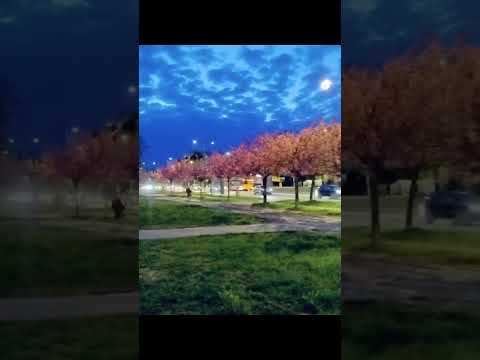 Thumbnail for #punjabimotivation #love #punjab #punjabisong #punjabishorts #punjabistory #singer #hustindernewsong by health with wealth 